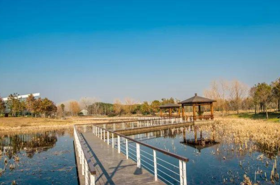 同里国家湿地公园5