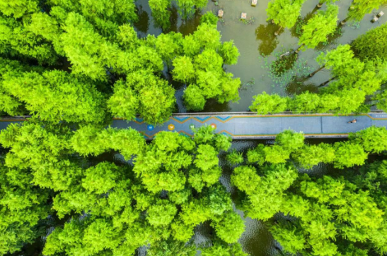 青山湖9